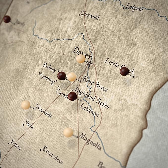Conquest Maps Push Pin Delaware Map Board - With Push Pins to Mark Delaware Travels - Handmade in Ohio, USA - Design: Rustic Vintage