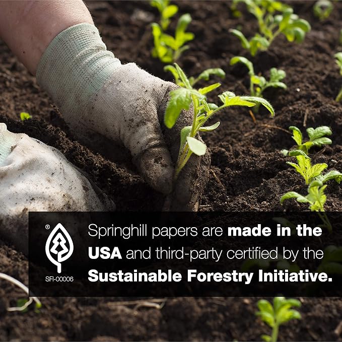 Springhill 8.5” x 11” Goldenrod Yellow Colored Cardstock Paper, 67lb Vellum Bristol, 147gsm, 250 Sheets (1 Ream) – Premium Lightweight Cardstock, Vellum Printer Paper with Textured Finish – 086008R