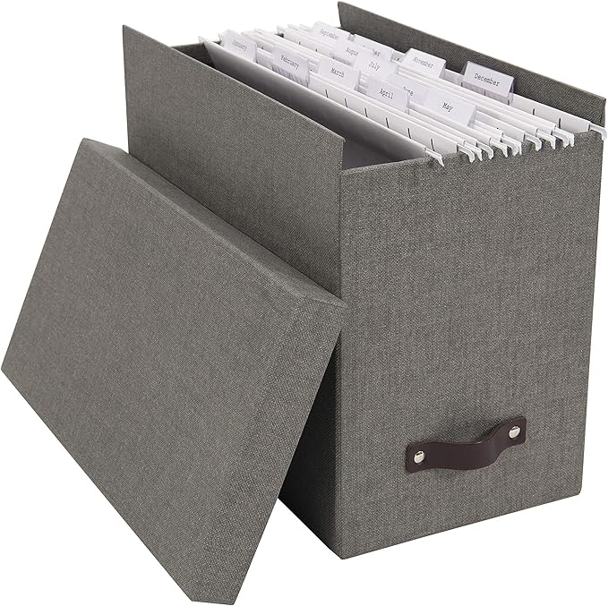 Bigso John Desktop File Box - Storage Solution and Document Organizer for Important Paperwork - Durable Hanging File Box with a Lid and Leather Handle - 7.36 in x 13.26 in x 10.51 in - Grey