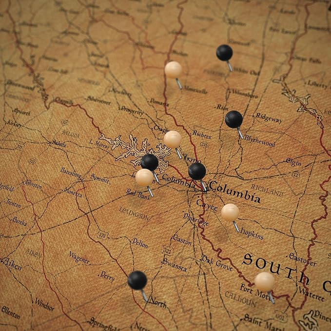 Conquest Maps Push Pin South Carolina Map Board - With Push Pins to Mark South Carolina Travels - Handmade in Ohio, USA - Design: Golden Aged