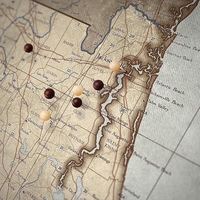 Push Pin Florida Map Board - With Push Pins to Mark Florida Travel - Handmade in Ohio, USA - Design: Rustic Vintage