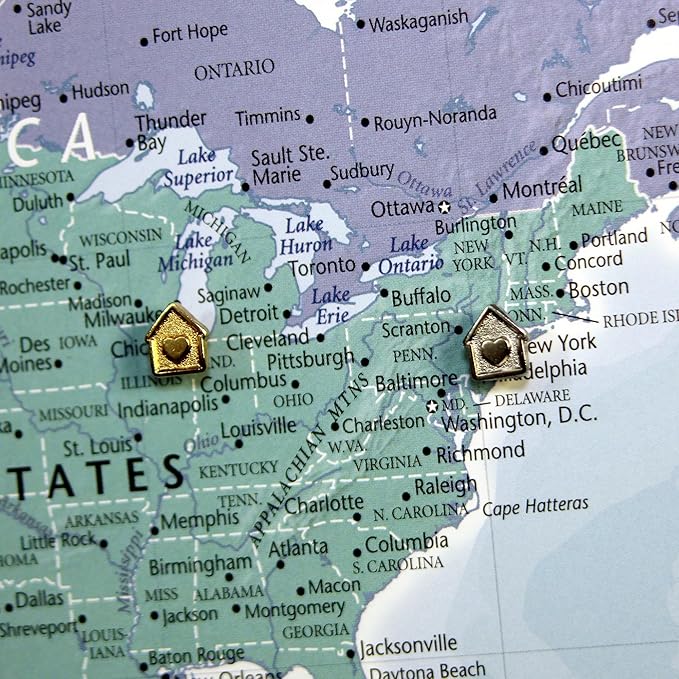 Mini House Push Pins - Silver House Pins - for Cork Board, Maps, or Lapel Pin Use - Designed in USA - Set of 10