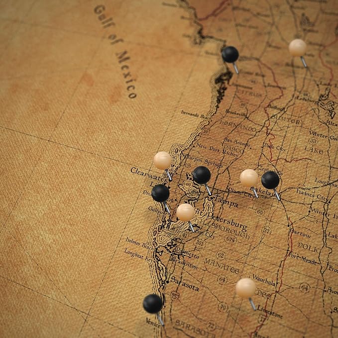 Conquest Maps Push Pin Florida Map Board - With Push Pins to Mark Florida Travel - Handmade in Ohio, USA - Design: Golden Aged